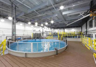 Кейс: изготовление металлоконструкций для аквакомплекса с дельфинарием в Анапе