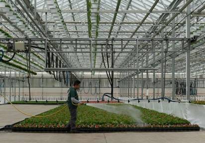 КЕЙС: Изготовление и поставка металлоконструкций для тепличного комплекса